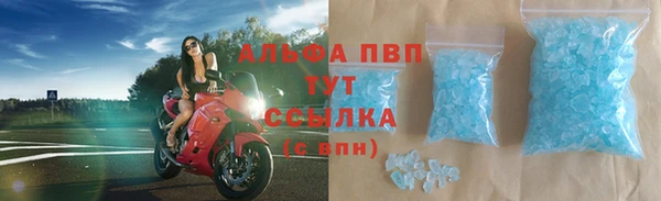 шишки Абаза